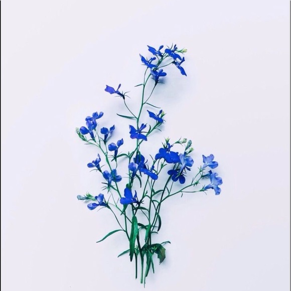 Meet your Posher, Claire - Picture 1 of 1